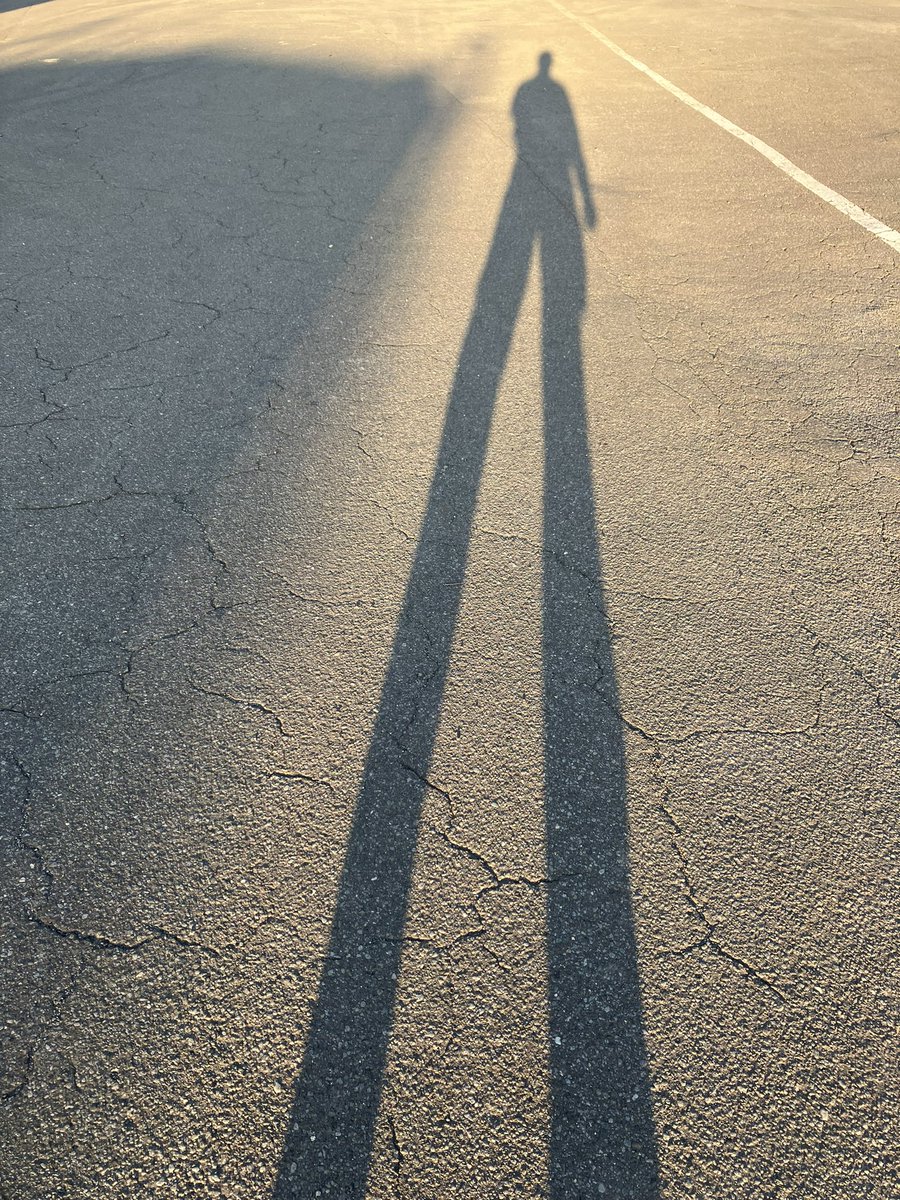 シンディー( ^ω^ )™️ tweet media