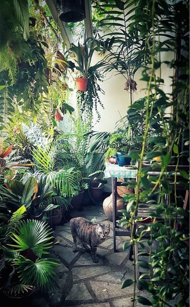 UrbanPlantHome's tweet photo. A little retreat 💚 https://t.co/QSzOXt9R0W