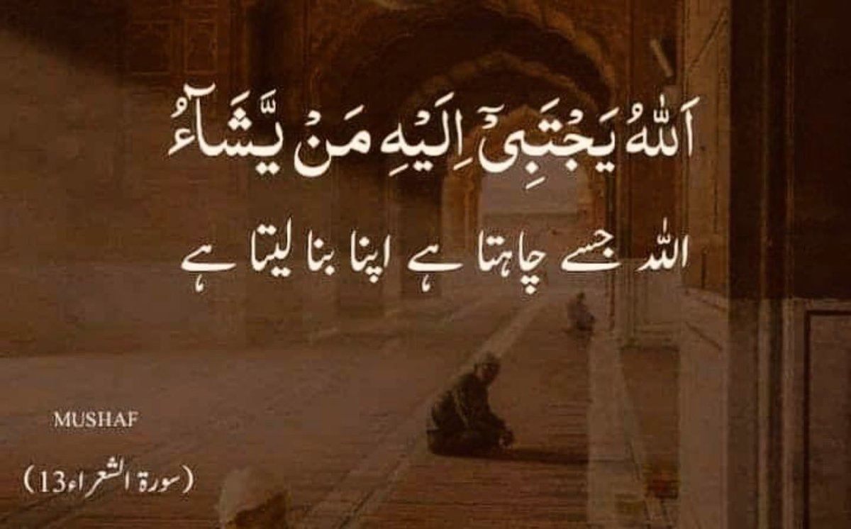 shaz tweet media