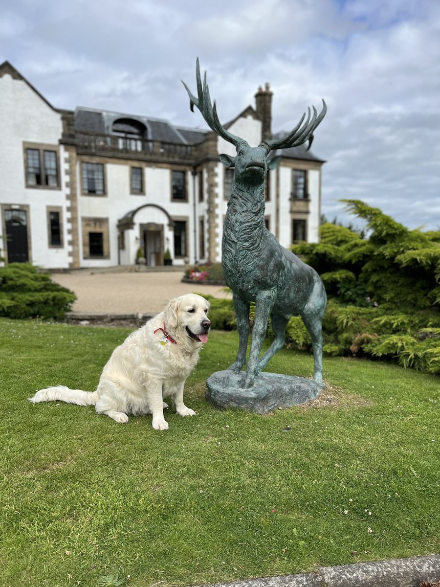 Another lovely day <a href="/gleddoch/">Gleddoch Hotel & Spa</a>. Murphy being pampered too. #petfriendly #guestfriendly #portglasgow #scotland #hospitality #fun #family