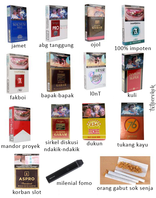 t𝕏t Sigaret tweet media