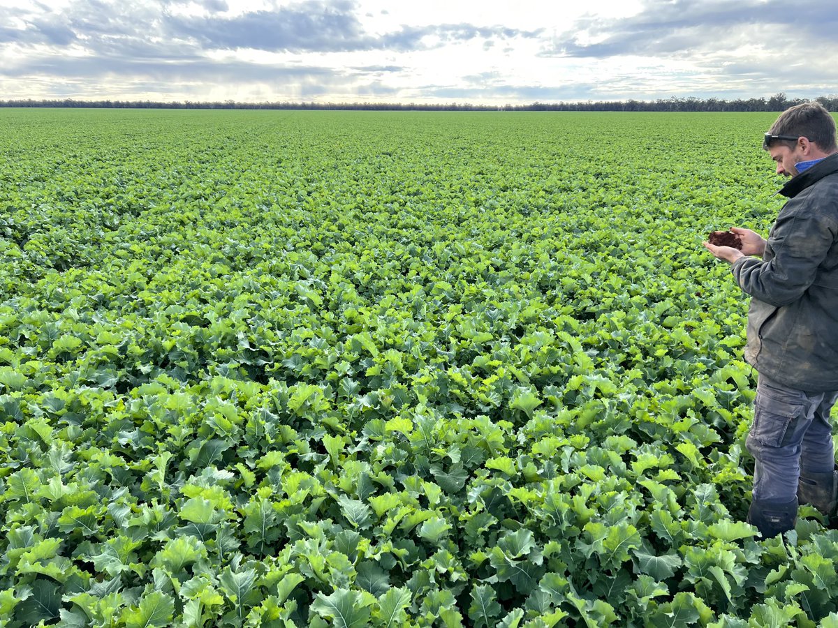 Dave_Newbigging tweet media