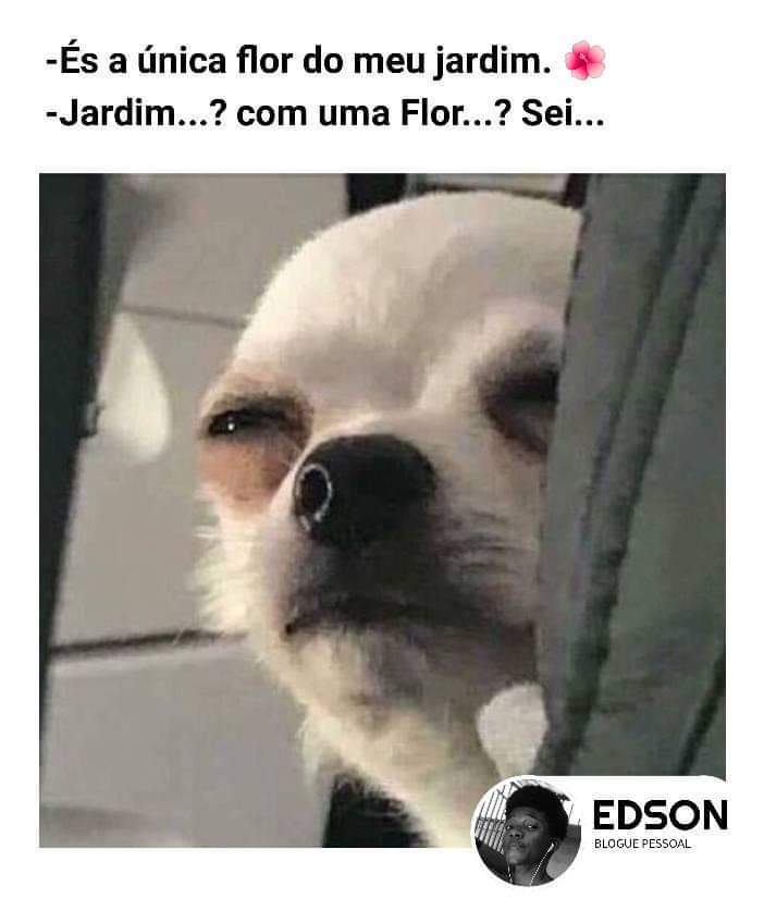 NM❤️ tweet media