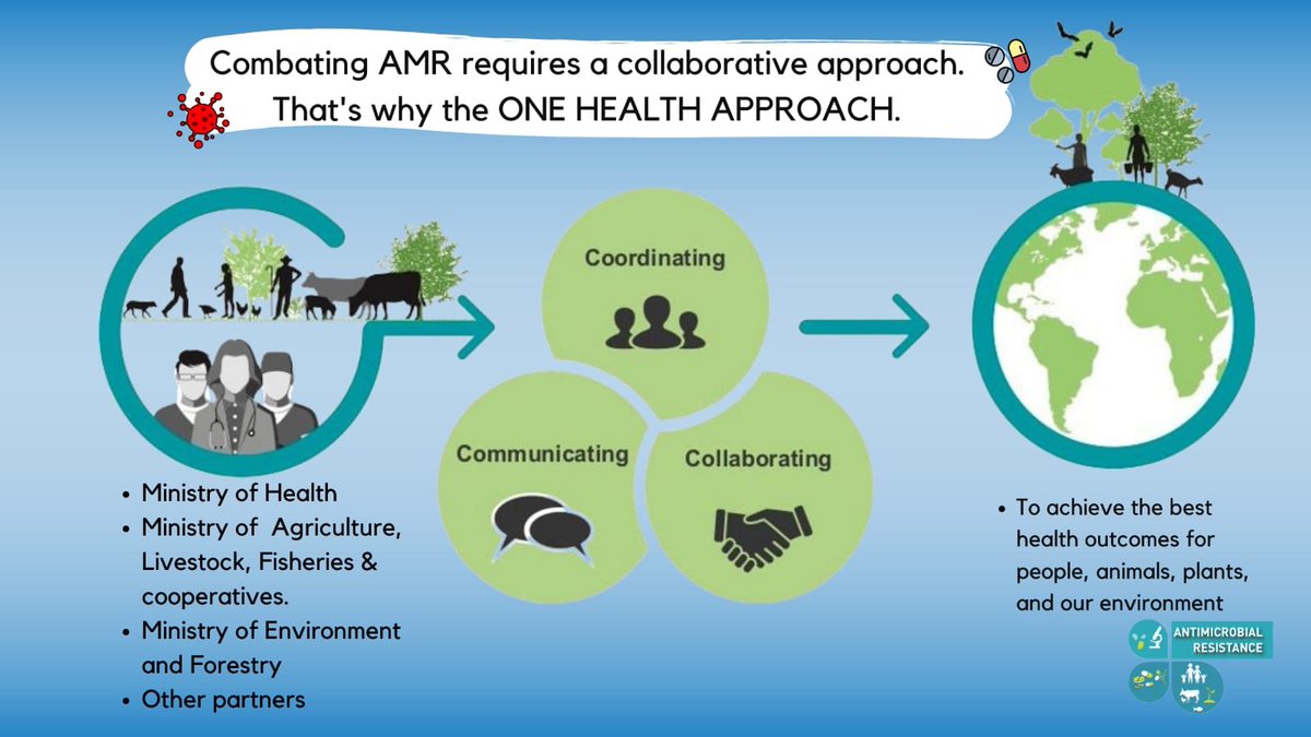 Ministry of Health tweet media