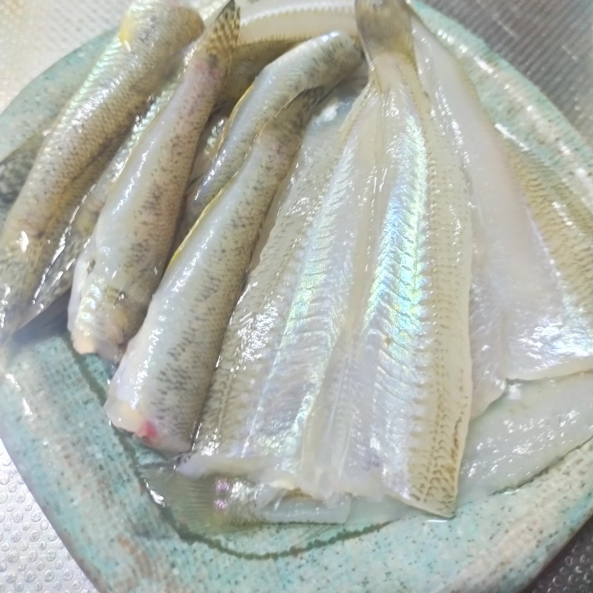 aoyan1207's tweet photo. こものばっかりやったのに
キープしてしまったから……
無駄な殺生だけはしない派の自分、なんとかしてたべます!
ままごとのようにキスは開き、ハゼは頭取りでてんぷらします!
2合の米に17匹のチャリコ飯
(鯛めし)どうなるかなぁ
#mmm765
#catchandeat https://t.co/OrMuuXcn1t