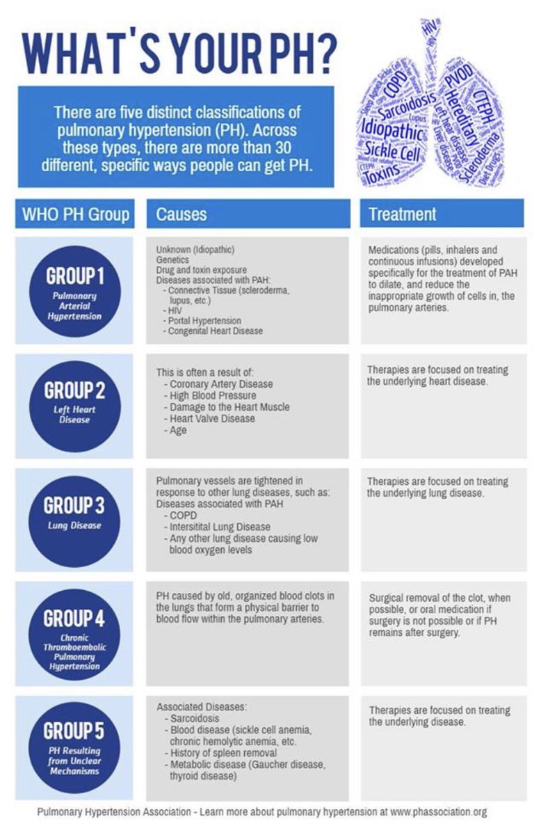 MGsHusband's tweet photo. All #PH is not the same
1️⃣= PAH =pulmonary arterial hypertension
2️⃣= PH Due to Left 🫀 Disease
3️⃣= PH Due to 🫁 Disease
4️⃣= PH Due to Chronic Blood Clots in the 🫁 
5️⃣= PH Due to Unknown Causes
All serious but very different with unique treatment
@WHO Classification
@DBelardoMD https://t.co/CaX26j97Mh