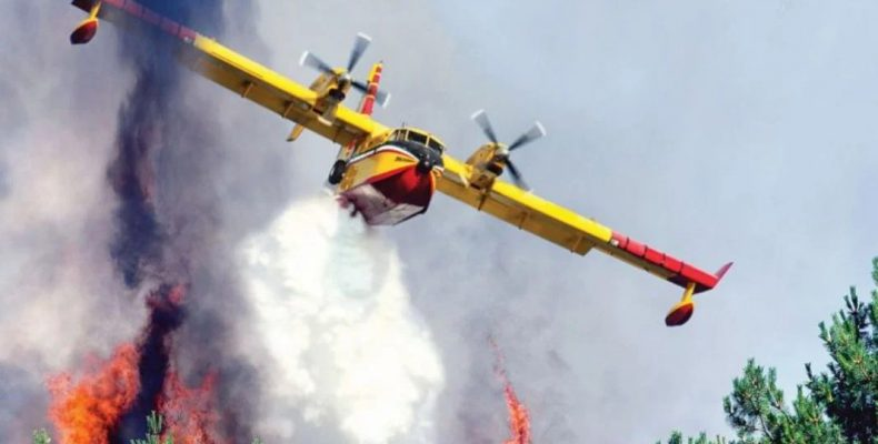mani_festo_9's tweet photo. Έξω στέλνουν Canadair
μέσα έχουν κασκαντέρ
#παραιτηθείτε_όλοι #Πυρκαγια #φωτια #κυβερνηση_συμμορια #επιτελικό_παρακράτος #Γαλλία_Ελλάδα 1-0 #welcomeToGreece #summertime_madness https://t.co/A8mqJZPSXt