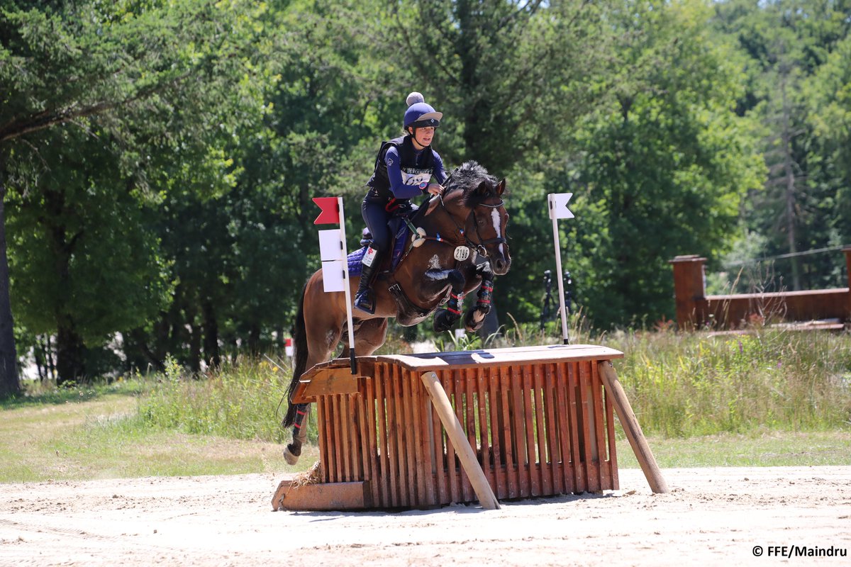 Plein phare sur le #GOF2022 à Lamotte-Beuvron (41) avec les #championnats Poneys puis Clubs : + de 20 disciplines sur un même lieu : le Parc équestre fédéral !
Bravo à tous les nouveaux médaillés ! ​🇫🇷​👏​
📸 FFE/PSV, FFE/Maindru