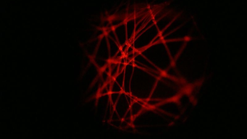 textiletechnology.net tweet media