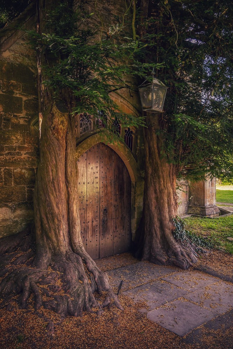 The most beautiful Church Door in the UK.

#Cotswolds #nature #photo #photooftheday #landscape #Nikon #uk #England #photographer #StormHour #stowonthewold #visitbritain