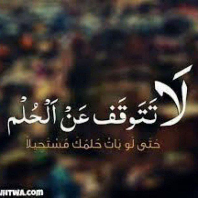 #انترنت_غير_محدود_بمصر
#مقاطعة_شركة_وي 
يا شباب دي اخر تويته ليا يوجد معي مشاكل كثيره جدا ولابد ان اترك التصفح وانا اشكركم علي الدعم وعلي ما فعلتموه من رفع الهشتاق والتصدر لاكثر من عشرين يوما السلام عليكم يا ابطال ان شاء الله استطيع العوده قريبا 
سيتحقق ابشروا