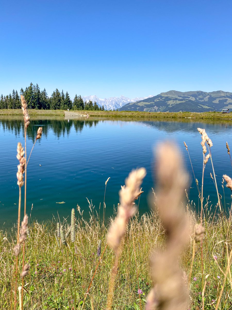 Little refreshment on hot days like these! 💦☀️ 
#SummerVibes #hottestdayoftheyear #refreshment #lake #schmittenhöhe #schmitten #zellamsee #zellamseekaprun #salzburgerland #feelaustria