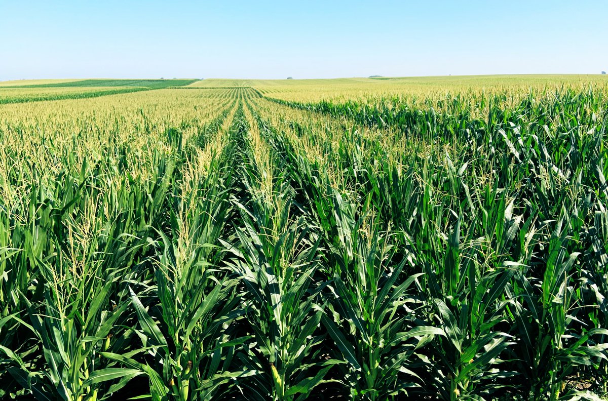 Jason Carr tweet media