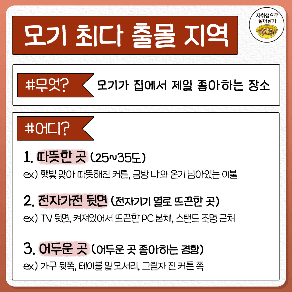 honeytip_backup's tweet photo. 여름철 꼭 필요하지만 은근 잘 모르는 모기 제대로 잡는 꿀팁 https://t.co/EL2pBqg7RV