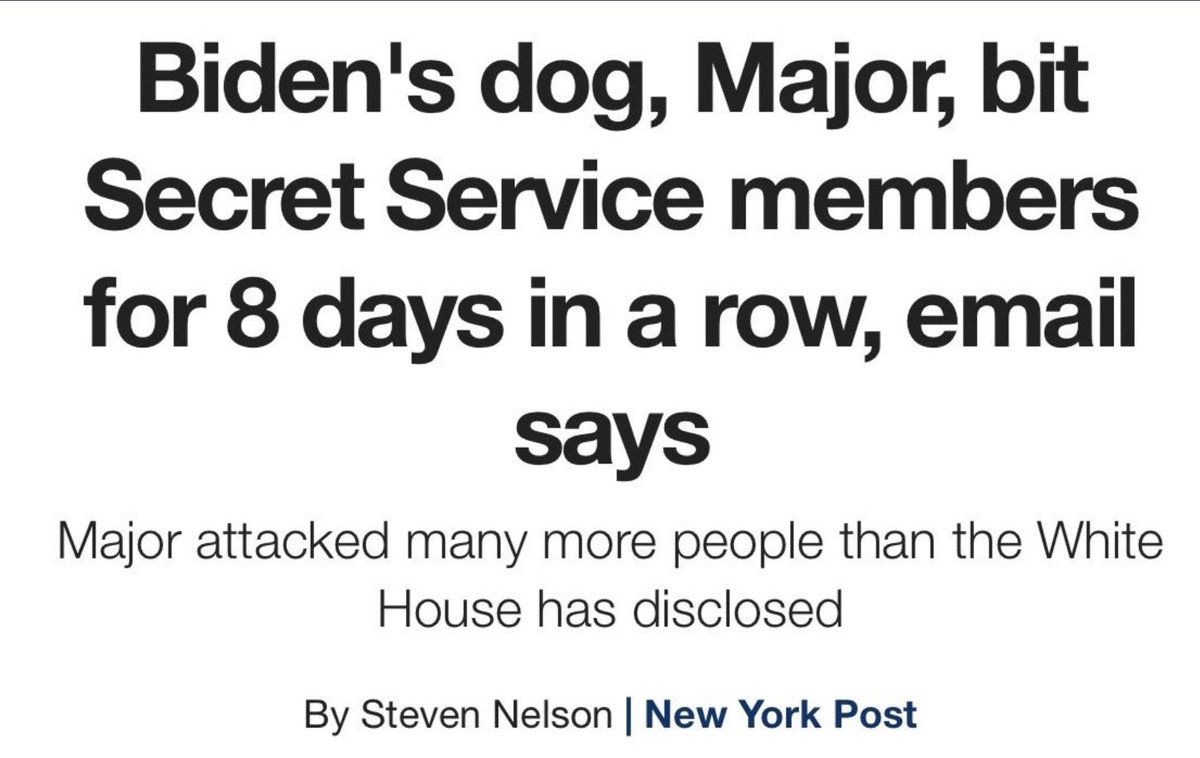 FroggyBottomPnd's tweet image. Major knew.
#SecretServiceCoverup