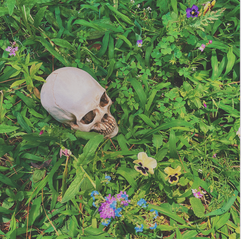 Stereogum (@stereogum) on Twitter photo Listen to <a href="/TeensInTrouble/">Teens in Trouble</a>'s sunny new single "Decomposing," off their upcoming debut EP bit.ly/3aXa2R8 Listen to <a href="/TeensInTrouble/">Teens in Trouble</a>'s sunny new single "Decomposing," off their upcoming debut EP bit.ly/3aXa2R8