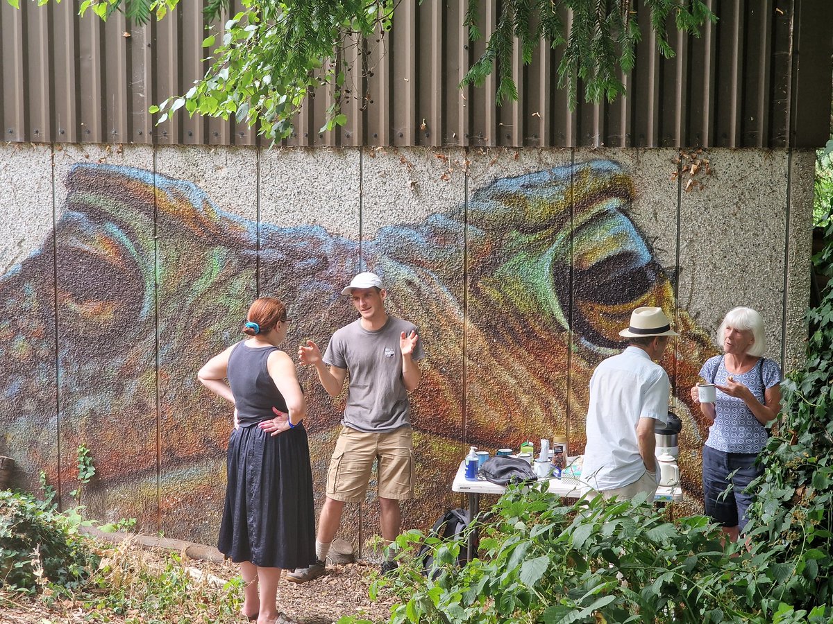 LeapingForwardforDementia@froglife tweet media