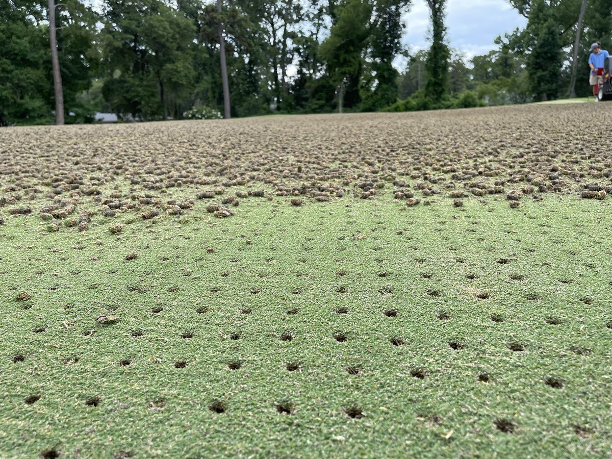 Ceres Turf Inc. tweet media