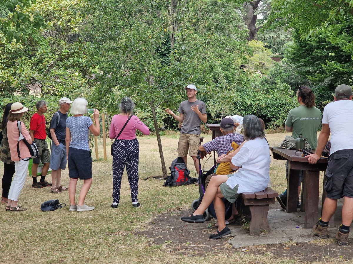 LeapingForwardforDementia@froglife tweet media