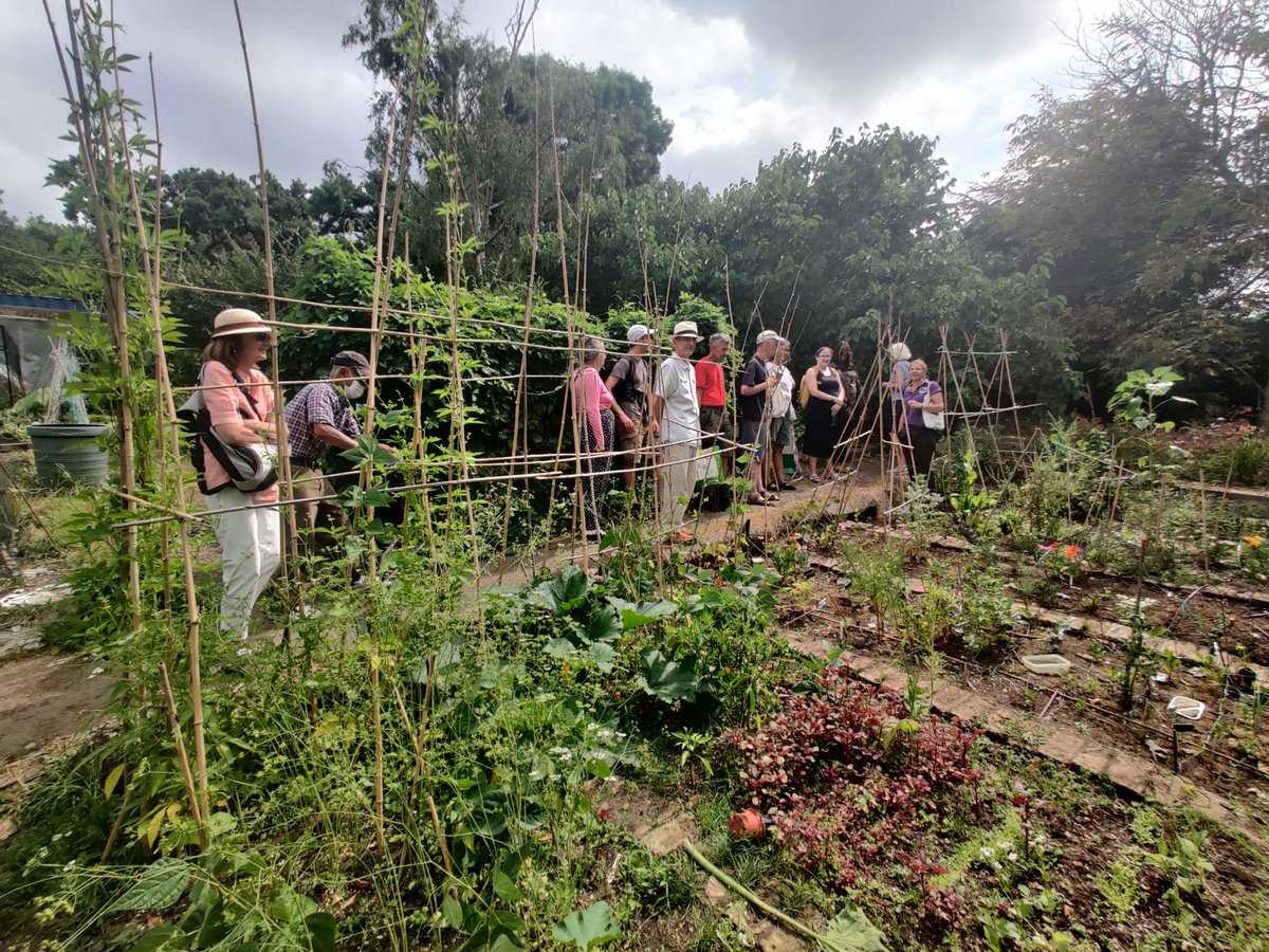 LeapingForwardforDementia@froglife tweet media