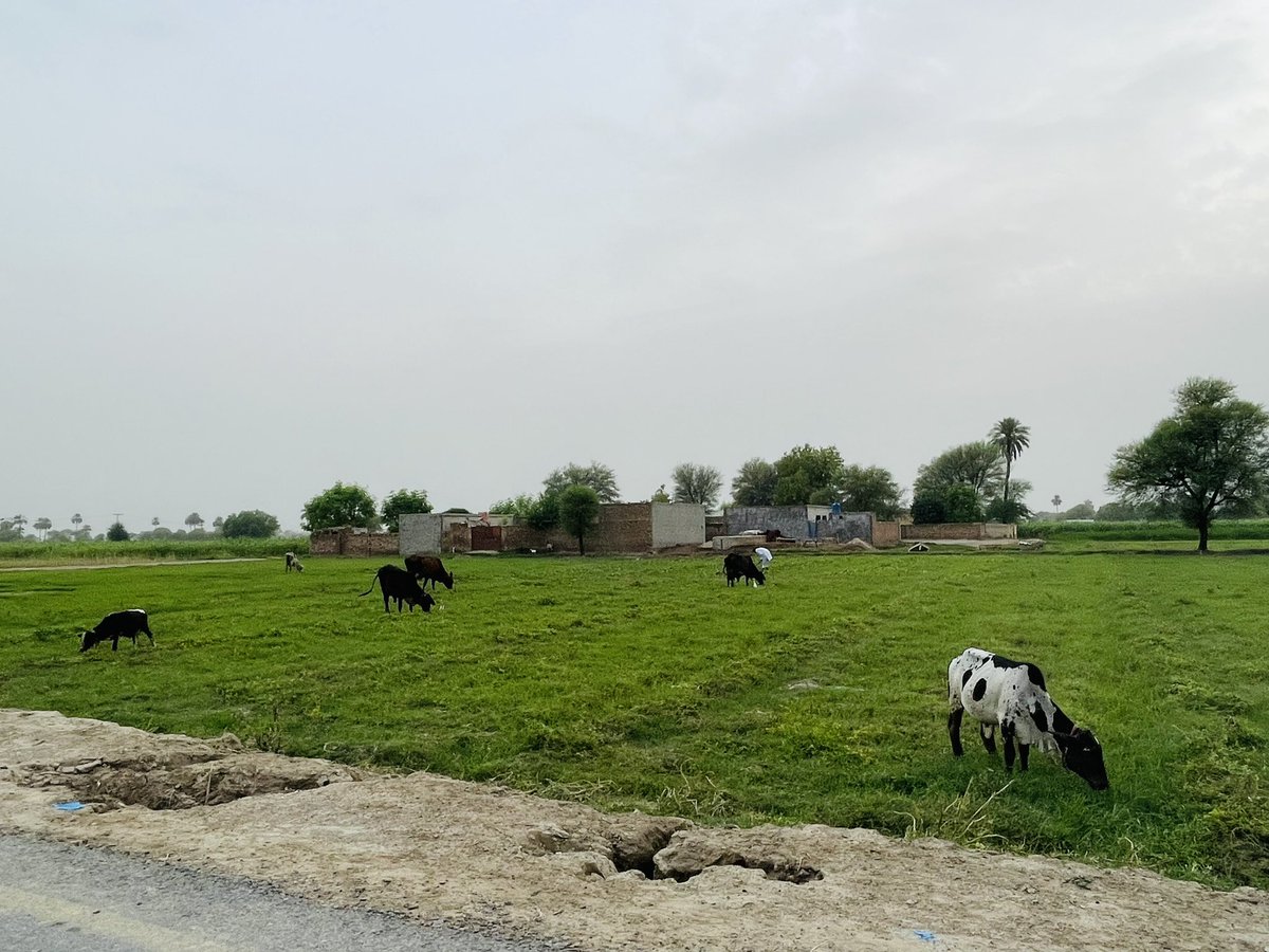 Peace #Villagetour #Hometown