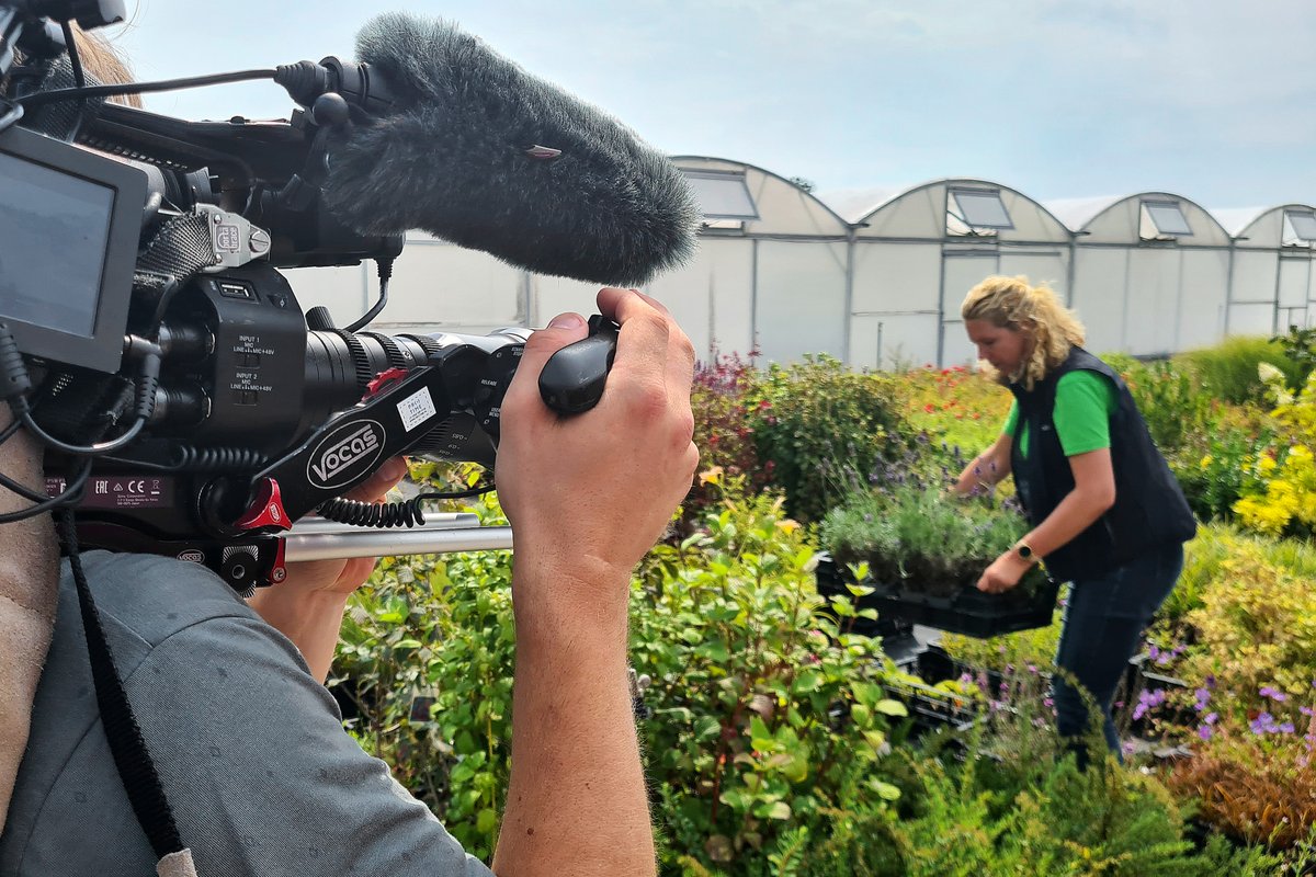 Naktuinbouw's tweet photo. Vanavond @nieuwsuur @NPO2 aandacht voor #xylella. Neem geen planten mee vanaf je vakantieadres. Hiertoe roept de #NVWA op vanwege de hoge risico's voor #tuinbouw.  Onze keurmeester droeg bij aan de uitzending vanwege de controles die wij doen op deze gevreesde #quarantaineziekte. https://t.co/vQxb4qiZRS