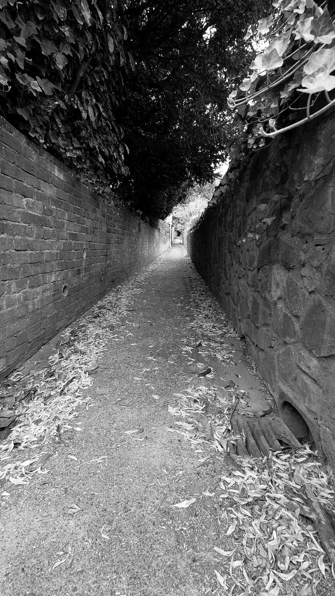 tetuan22s's tweet photo. I will have to learn the Worcestershire term for one of these. I have had to learn so many over the years #Malvern #Worcesterahire #ginnel #snicket #jitty #blackandwhitephotography https://t.co/DFwF0cSFy1