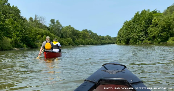 Nos_langues's tweet photo. Revitaliser la langue de son enfance, le #lunaape ou #munsee, est ce qui a poussé @IanMcCallum3 à pagayer sur la rivière Thames… et à écrire un livre permettant d’apprendre le #vocabulaire de base de cette #LangueAutochtone. Un récit inspirant. https://t.co/1jGmki2r5C https://t.co/9kUvYQ2a5M