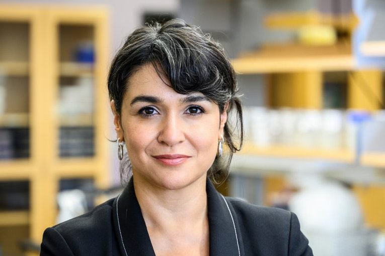 Dr. Betül Kaçar is the '22 Runner-Up for the Rosalind Franklin Medal! She is recognized for developing new experimental techniques to study ancestral genes involved in key processes used by life on Earth. Learn about her many accomplishments: go.nasa.gov/3RPTYkA
🎉 Congrats!