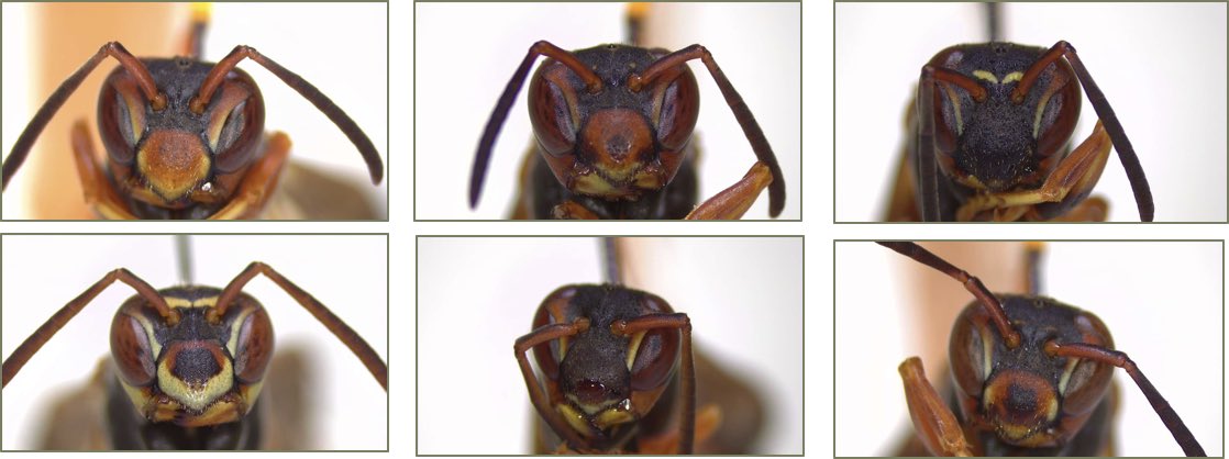 Meagan Simons tweet media