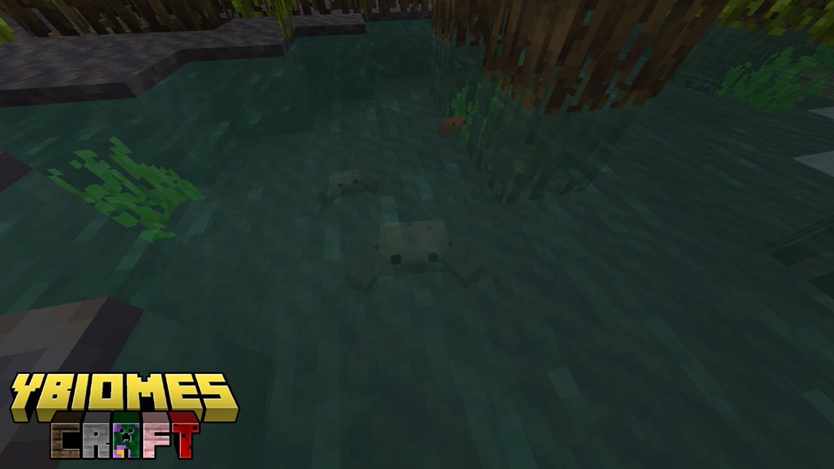 Gbiel_yBrothers's tweet photo. Let's bring more life to the mangroves! Adding Crabs in #yBiomesCraft to #MangroveUpdate! Coming Soon! https://t.co/LoRl3FEYyO