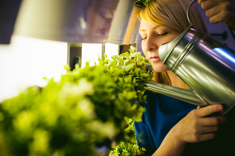 InsidePlants's tweet photo. https://t.co/Ltrh0EuEUy https://t.co/7wMXeoK4Ez