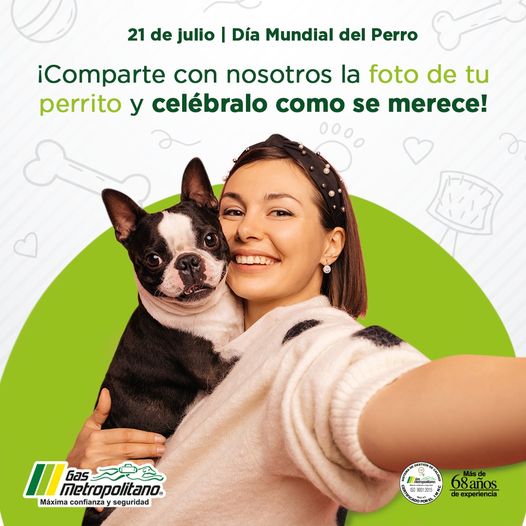 Gas Metropolitano tweet media