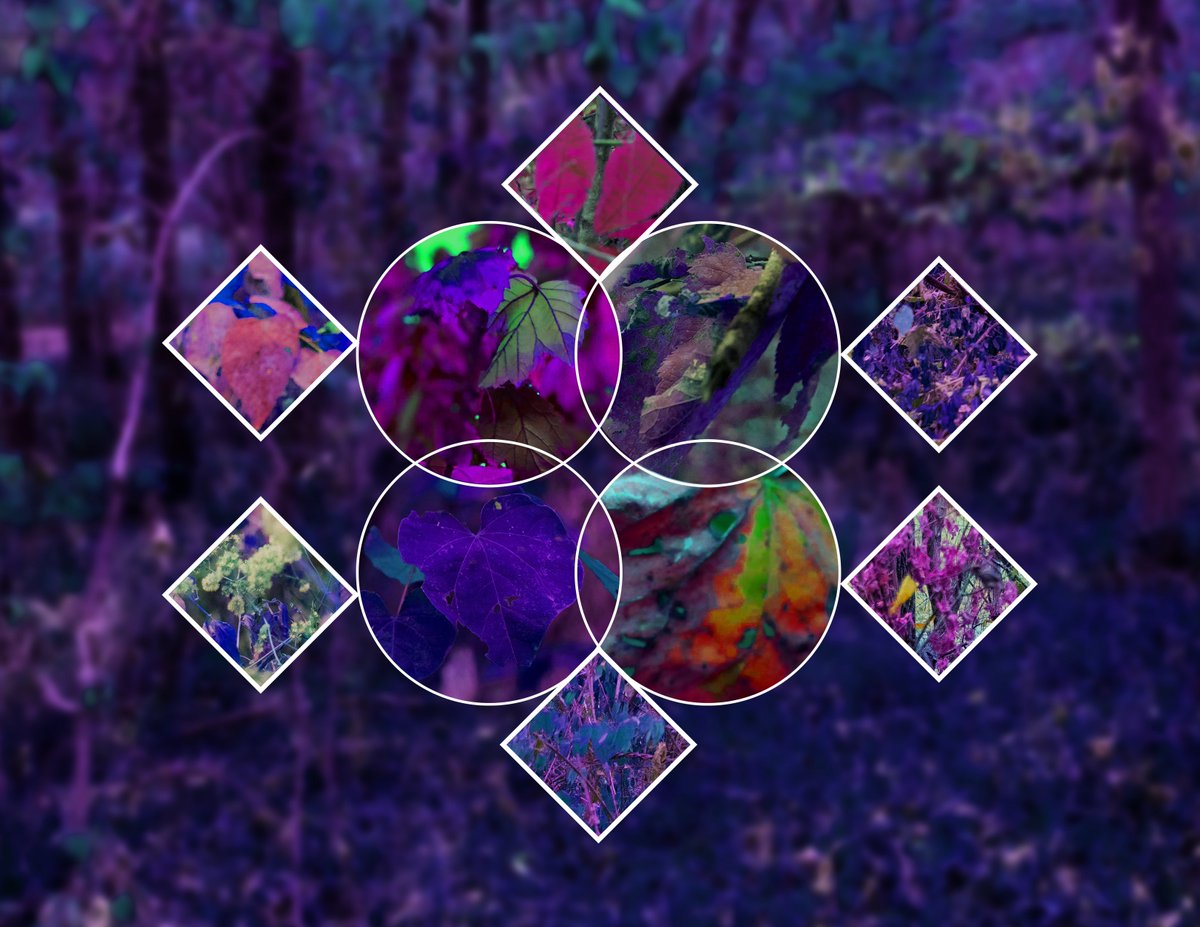 Although a lot of my work involves regular photography there are times where I use a lot of photoshop to make something different or I have a little bit of photo manipulation in here and use a lot of photoshop 

#photomanipulation #Photoshop #abstractart 

“Abstracted Pixel”