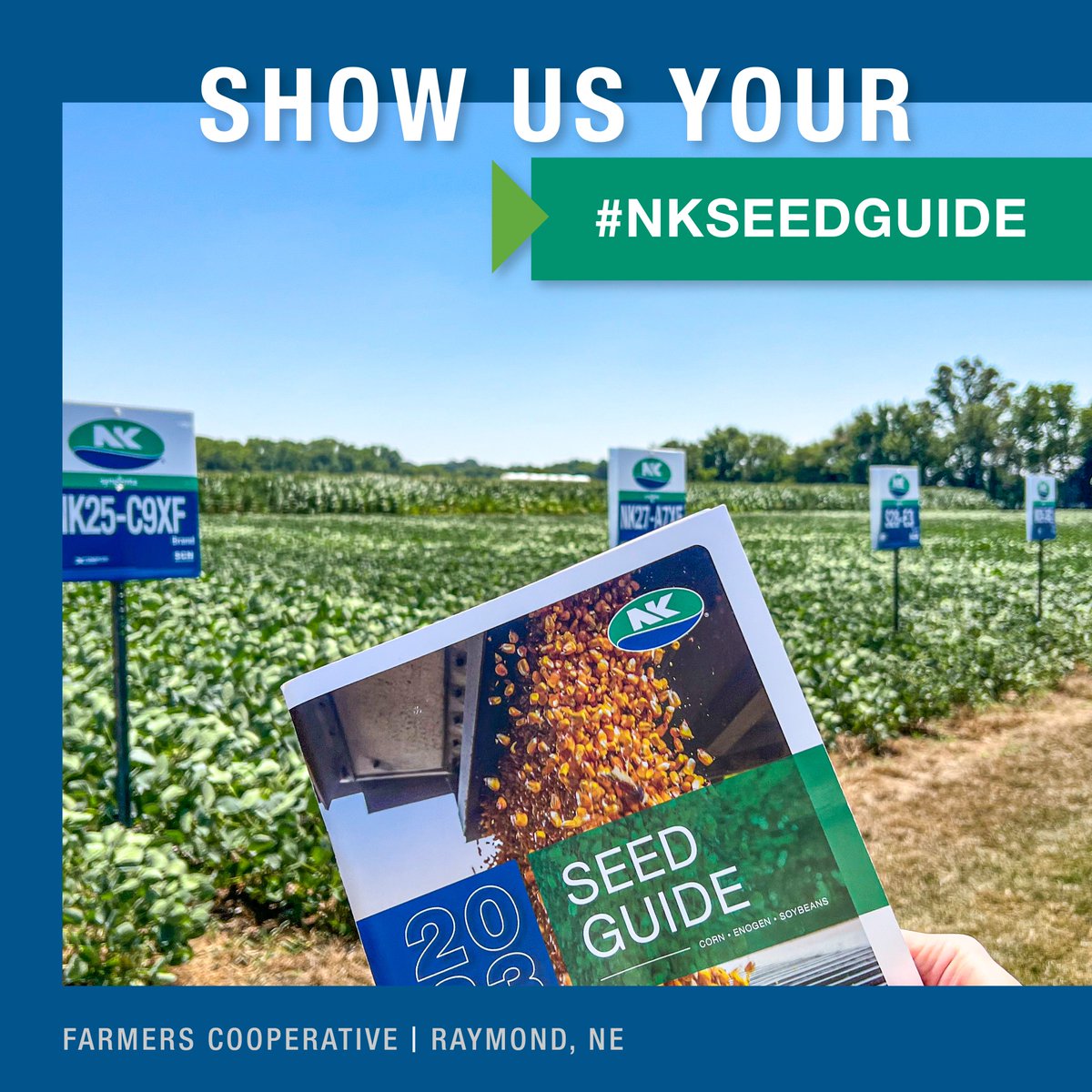 NKSeeds's tweet photo. We 💙 our retail partners. A big thanks to Farmers Cooperative in Raymond, NE, for joining us this week for training and for always supporting farmers! Want to be featured? Show us your seed guide with #NKSeedGuide https://t.co/pAGashcJnK