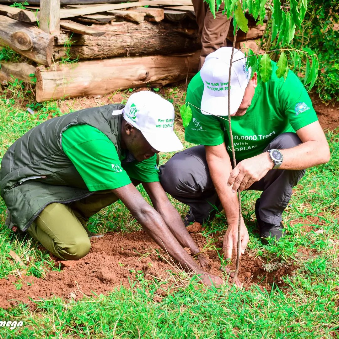 yfga_kenya's tweet photo. Environmental sustainability is the act of  conserving natural resources and protect global ecosystems to support health now and in the future. Tree planting is one of the core ways of protecting natural resources.
#onlyoneearth🌎 
#SaveSoil
#futureinamilliontrees #trilliontrees https://t.co/MGsLLYJtZS