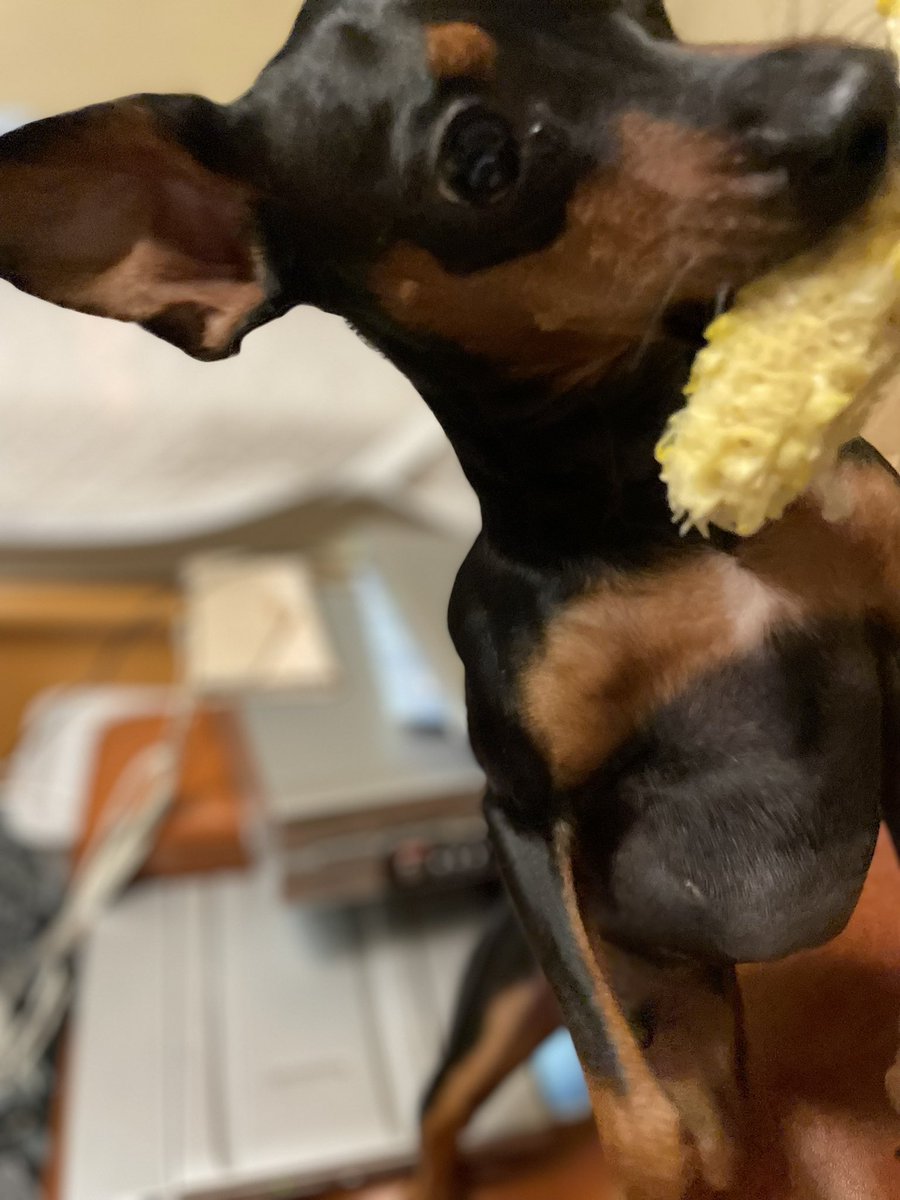 あのてゃん 8u22c0 Twitter