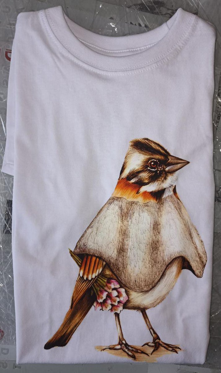 KarolinayAlf's tweet image. Ahora dentro de las "virales" le damos la bienvenida al "Pollito bogotano" 
Y que mil gracias a todos ☺️