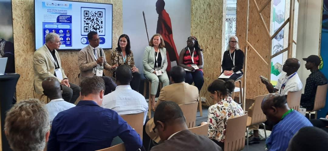 Sotouksi odette tweet media