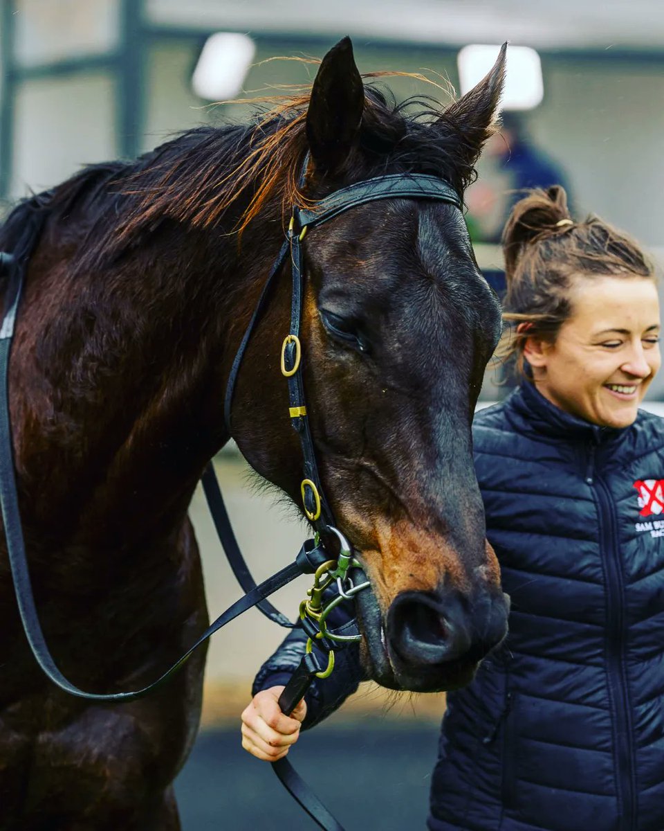 Jessica50159808's tweet photo. #racingSA #samburfordracing #ohmo #sittingbull #2022 https://t.co/BTN1POgQw6