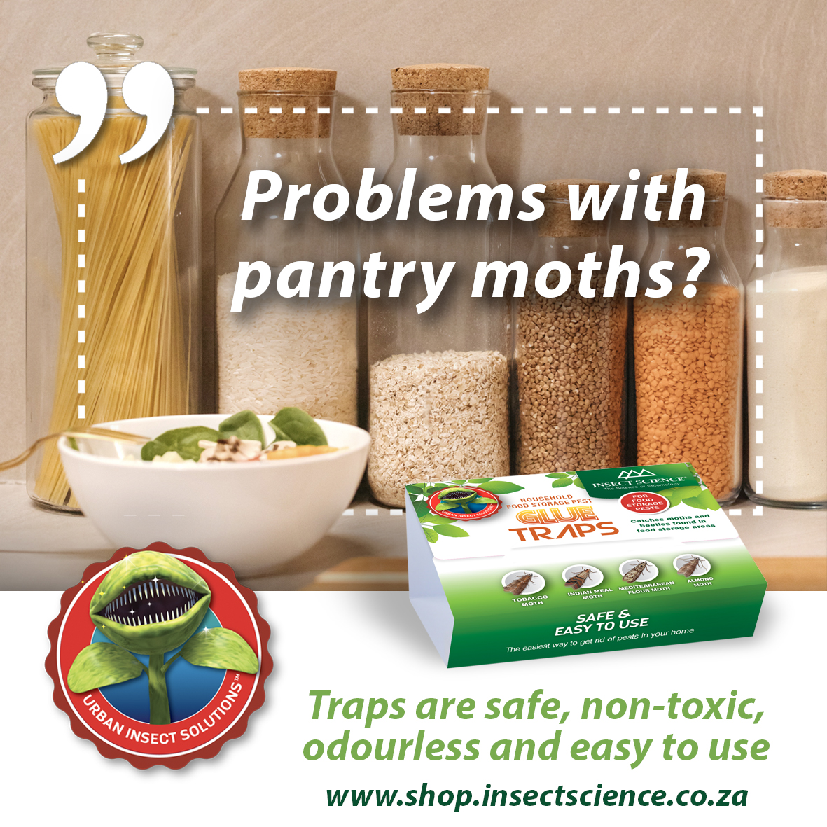 Insect Science tweet media