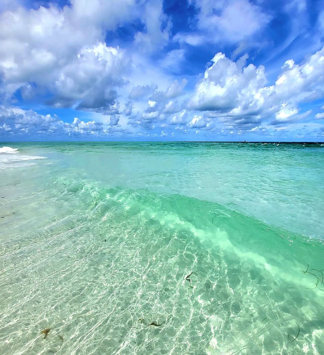 Anna Maria Island Chamber tweet media