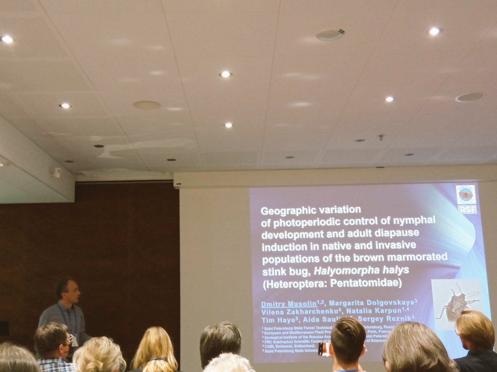 Plants_EFSA's tweet photo. #ICE2022 presentation by Dmitry Musolin #EPPO #nymphal #development #adult #diapause #Haylomorpha #hyalis (Heteroptera:Pentatomodae) https://t.co/iJ8FyeBLCy
