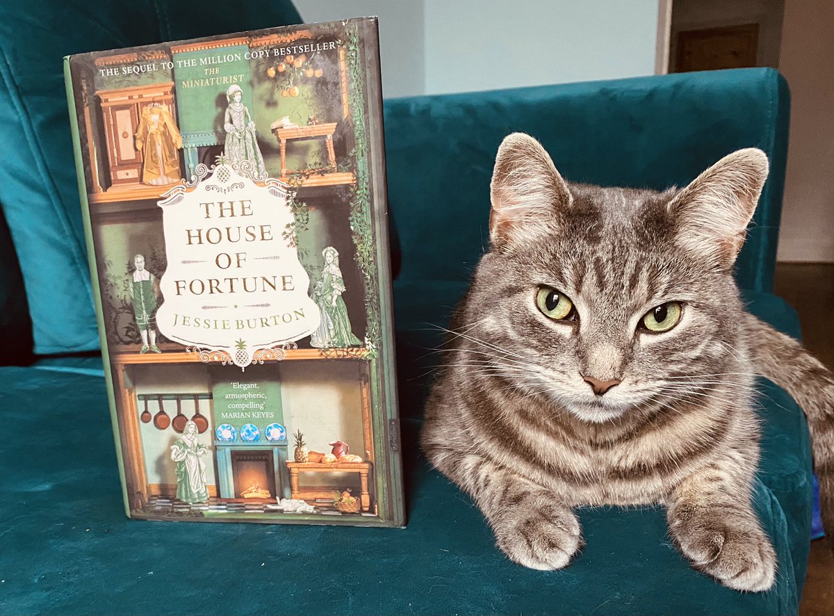 Another excellent book from Jessie Burton, I loved #TheHouseOfFortune so much, a worthy sequel to The Miniaturist. I can see much of Miku in Lucas too. 😂💚😺