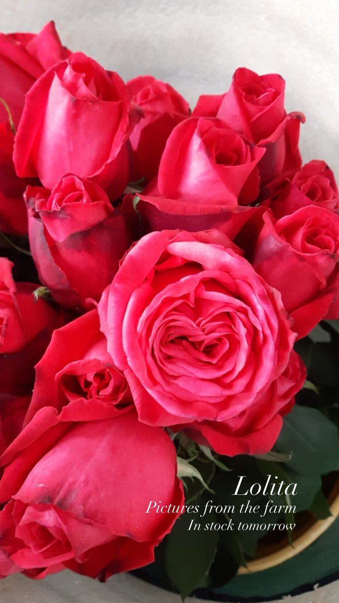 Love getting pictures from the farm! I have a free bunch! Tell a friend to follow <a href="/ulagifting/">ula</a> on here and Instagram 🌸send proof as well