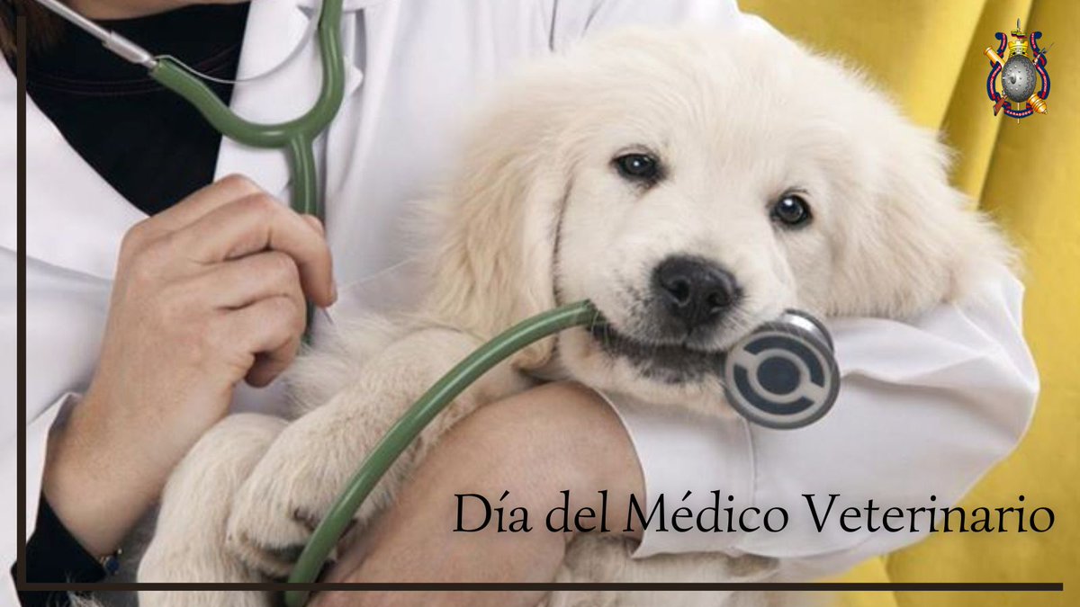 🗓#21Jul (1946) || Día del Veterinario, los venezolanos reconocemos y celebramos la labor que llevan a cabo los especialistas en la salud de nuestras mascotas y demás animales que cohabitan con las personas. #LaGMVVLlegóAVillaZamora #21Julio #Venezuela