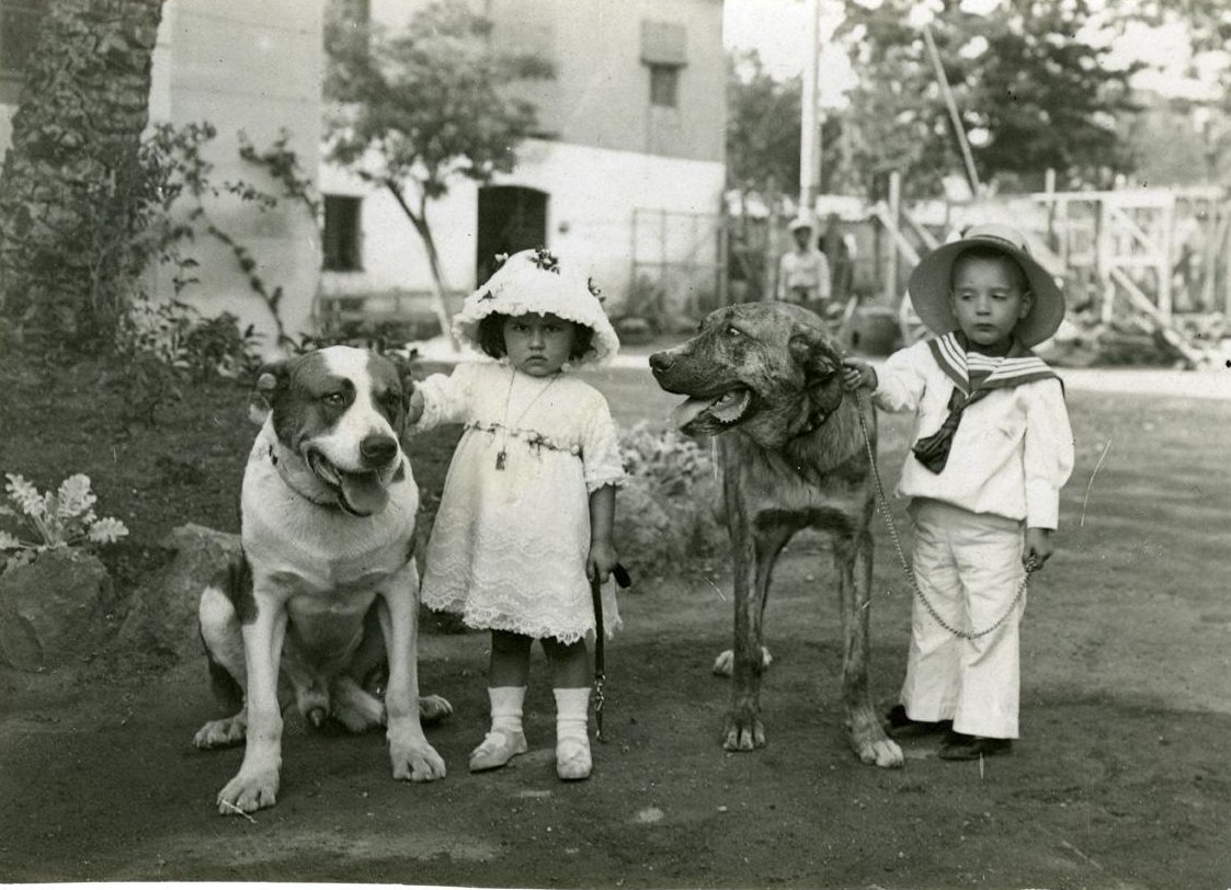 Turó Park, 1912.
#DiaMundialdelGos 🐶