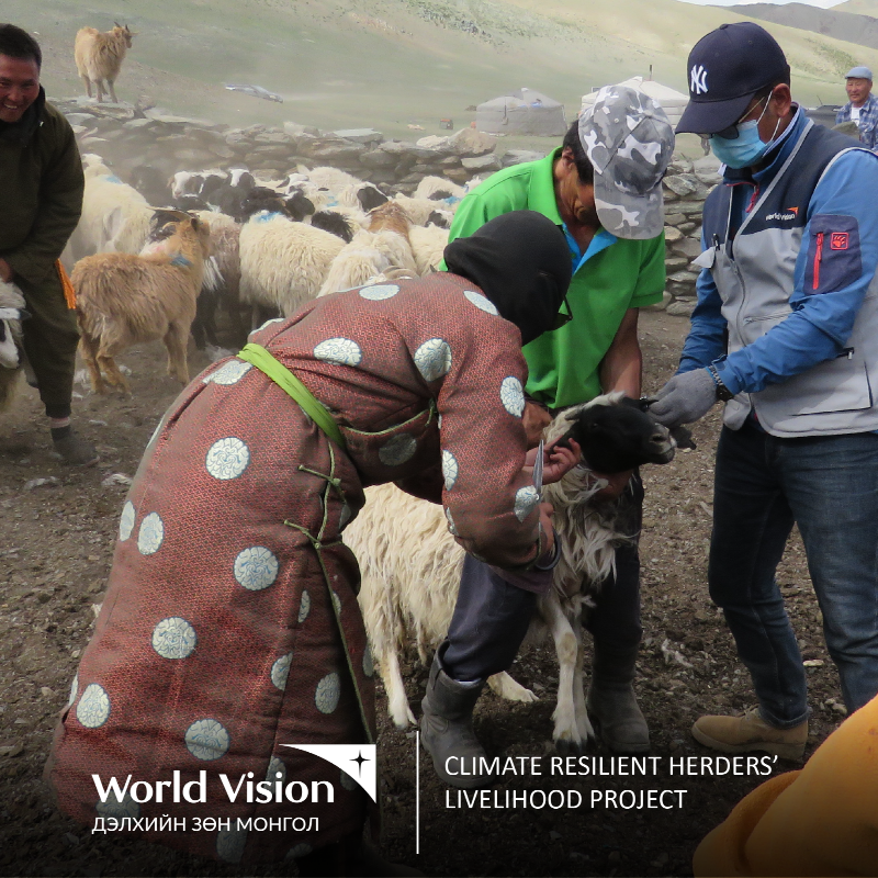 worldvisionMGL's tweet photo. #WorldVisionUS funded "Climate Resilient Herders' Livelihood" project is supporting the livelihoods of 202 vulnerable households in Uvs & Gobi-Altai provinces on child health & nutrition, animal husbandry and animal health for #climateresilience.