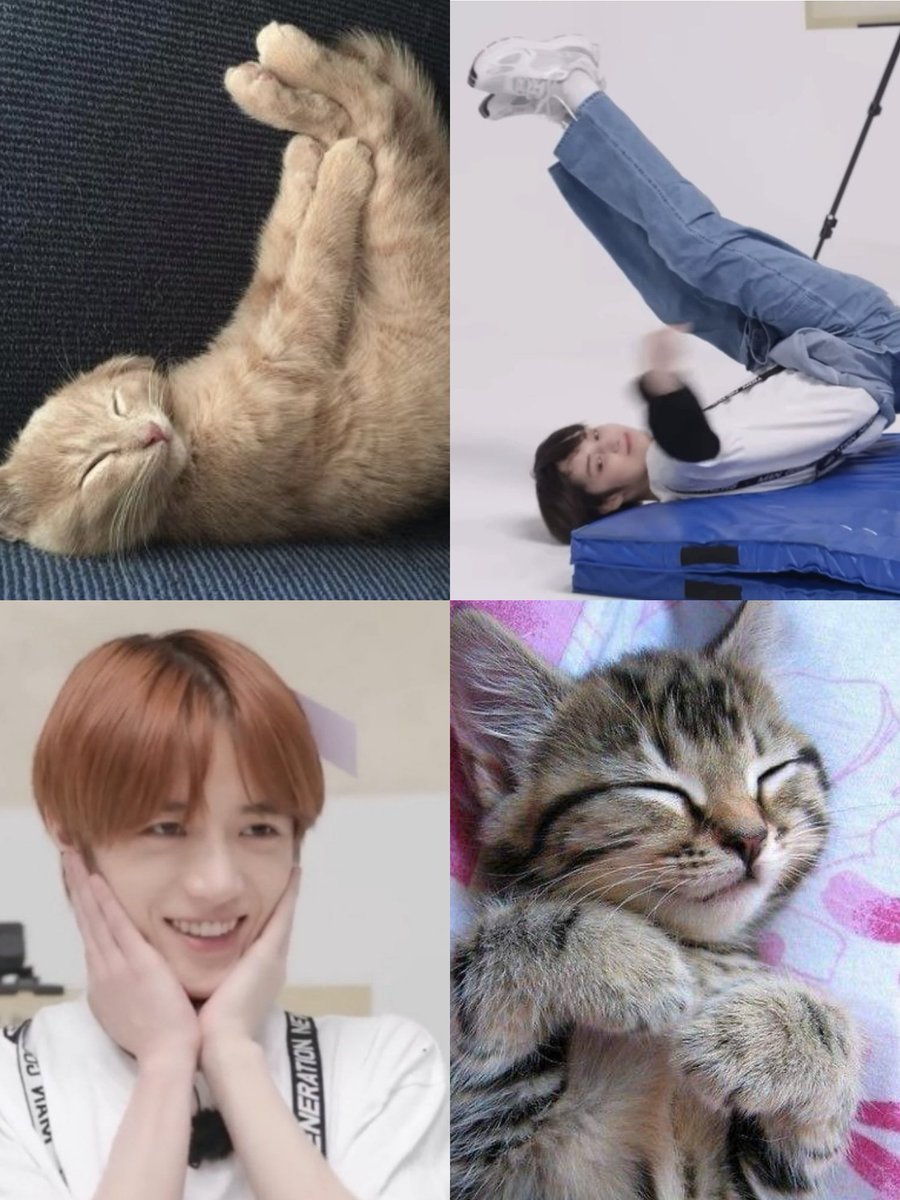 🐈 (@beomkaicats) on Twitter photo 