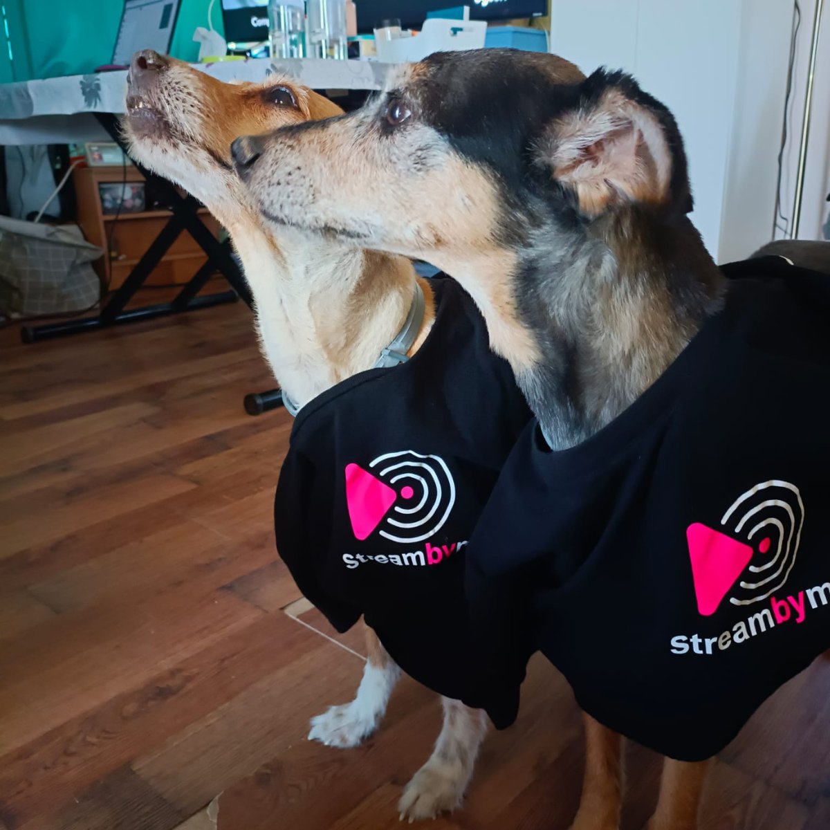 StreamByMe tweet media